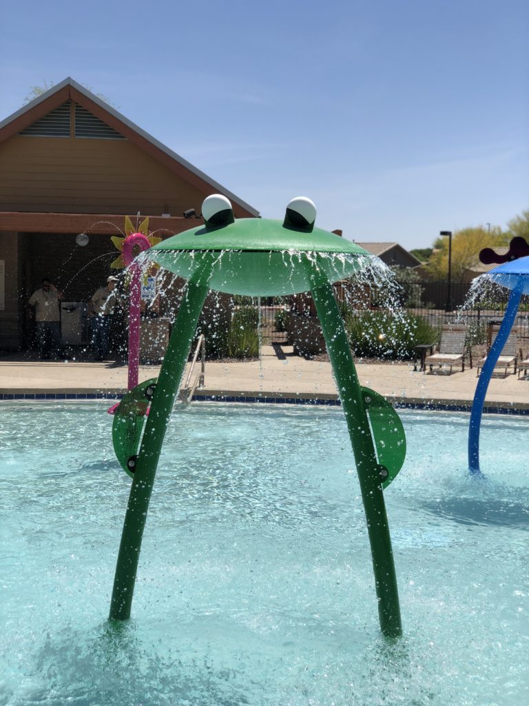 Rain Frog Splash Pad Feature by Rain Deck